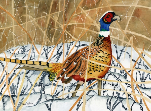 Click here to view Winter Visitor by Pamela Morgan