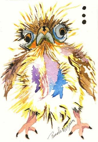 Click here to view Baby Bird by Pamela Morgan