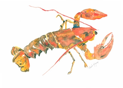 Click here to view Lobster by Pamela Morgan
