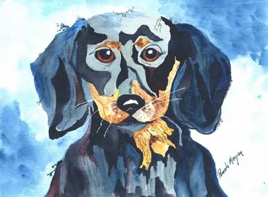 Click here to view Mr SC Dachshund by Pamela Morgan