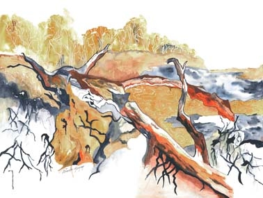 Click here to view Driftwood by Pamela Morgan