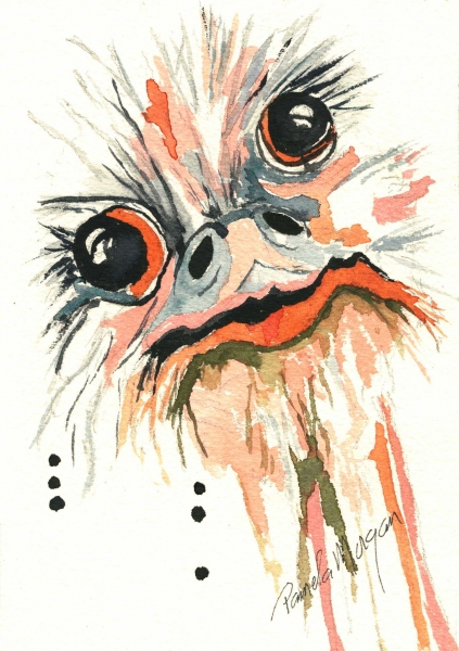 Click here to view Baby Ostrich by Pamela Morgan